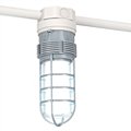 Hazardous Location Lighting Fixtures image